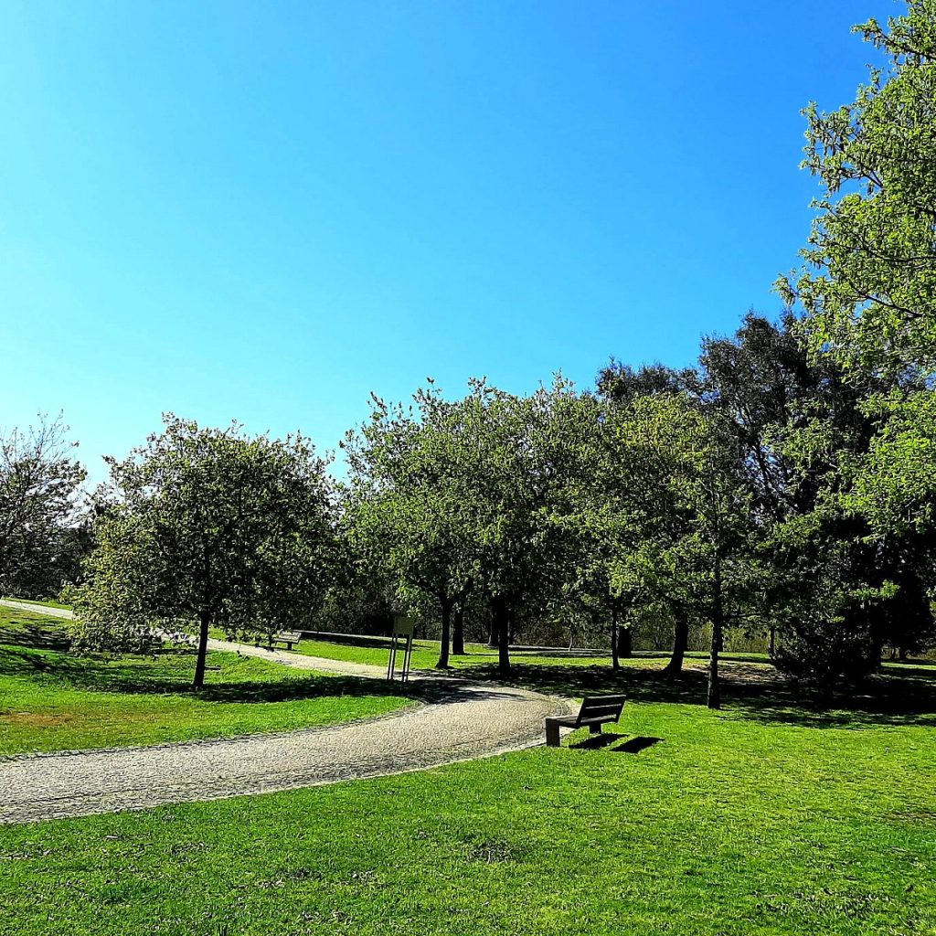 Avioso Park